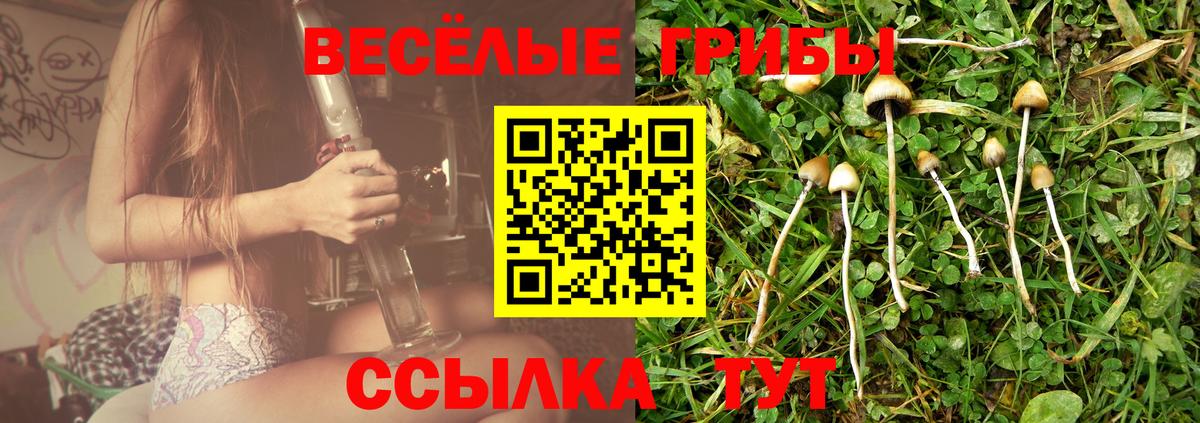 Галлюциногенные грибы MAGIC MUSHROOMS  Вход с VPN  Чусовой  Галлюциногенные грибы мухоморы 