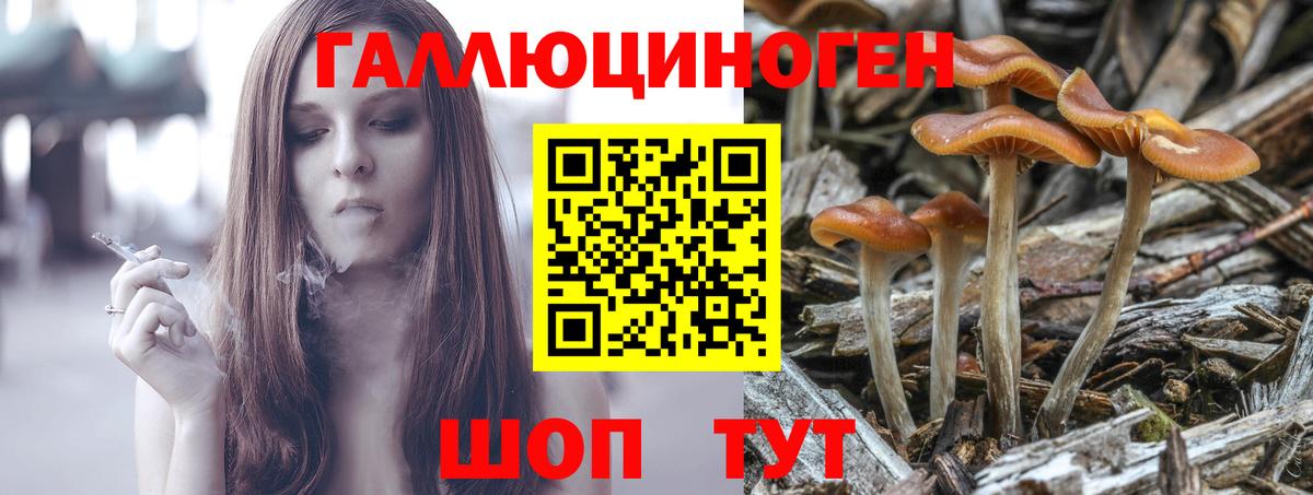 Галлюциногенные грибы Cubensis Чусовой